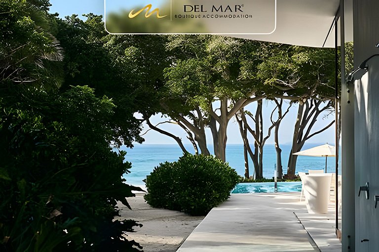 Bolongo 310 by Del Mar